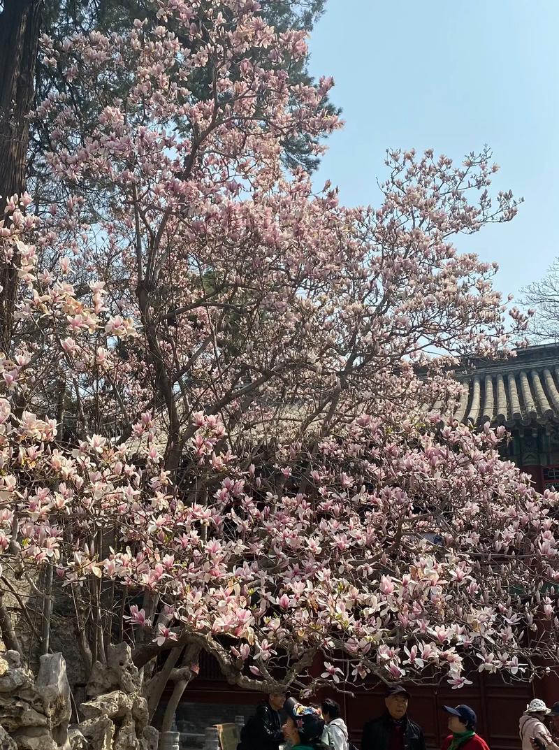 2025年4月1日 第19页