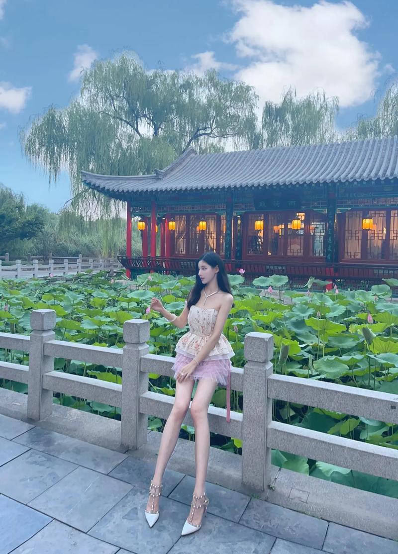 大明湖畔夏雨荷