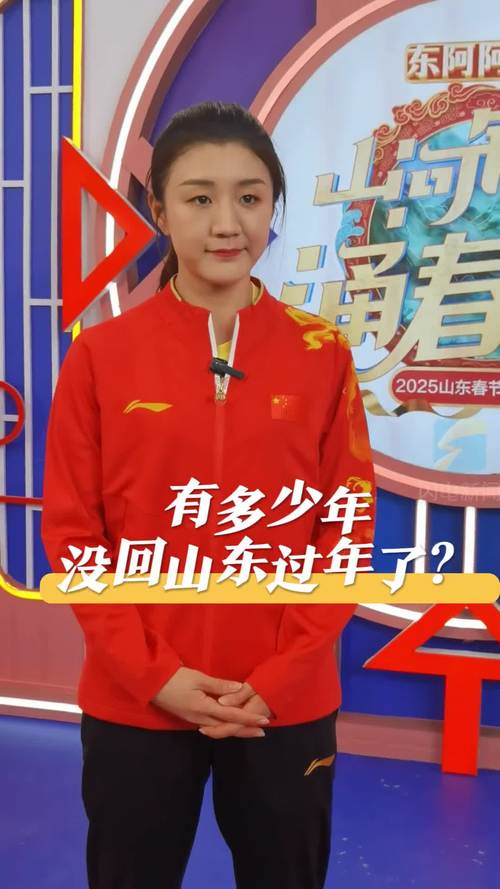 2013年全运会山东19岁的小将陈梦成为黑马闯进决赛