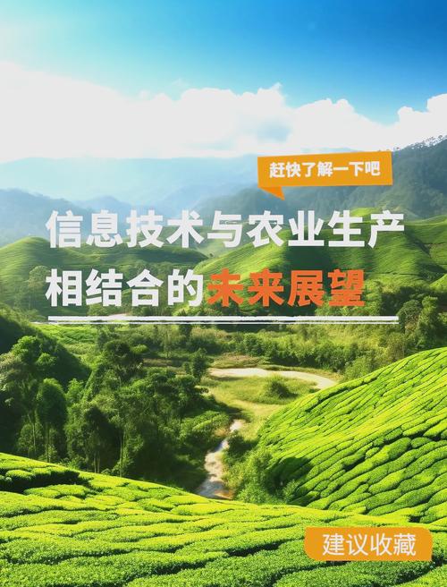 未来农田在云端？揭秘农业五大"黑科技"赛道