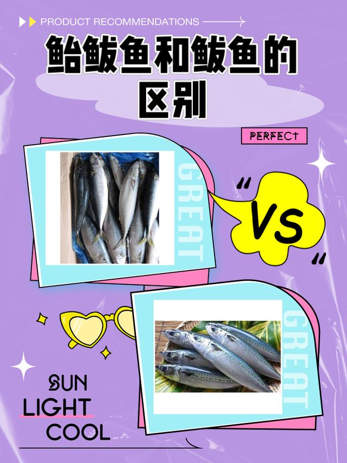 买鲅鱼，要分清“板鲅”和“鲐鲅鱼”区别很大，搞懂再买不吃亏