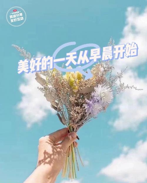 美好的一天
