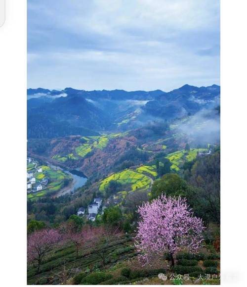 阳春时节，走一趟皖南，住住古村，看看油菜花 自驾游 安徽