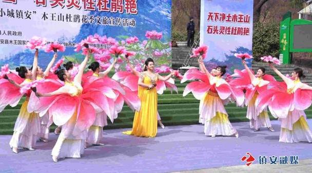 2025“大美秦岭•小城镇安”木王山杜鹃花季文旅宣传活动开幕