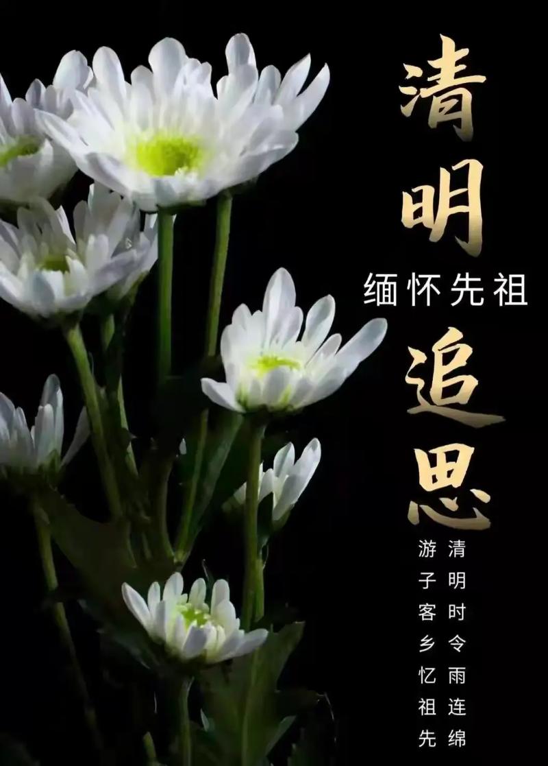 留住亲情忆始祖，清明打卡万家丽