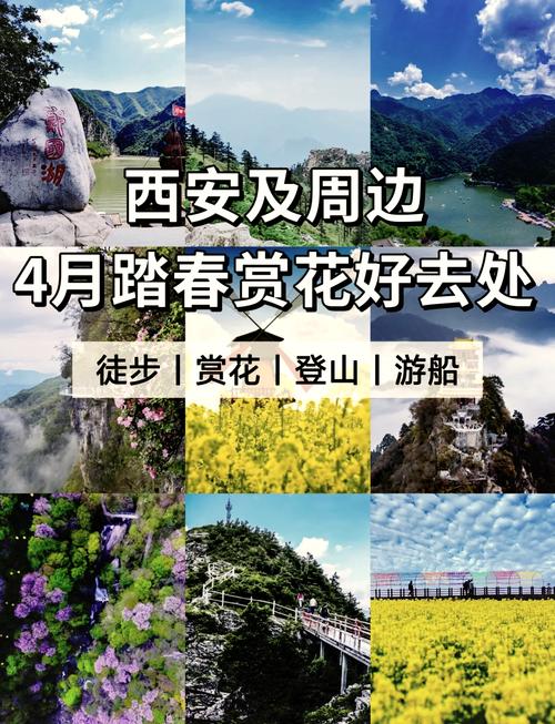 奔赴临潼，共赏春日醉美风光~