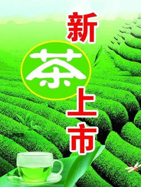 2025年4月5日 第5页