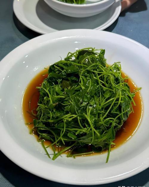 飞蓬草的吃法大全：分享五种吃法，清热利湿，野菜也可以变美味