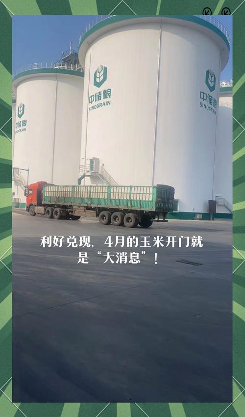 玉米市场惊现断头铡！2025年4月4日行情急转直下背后真相扎心！