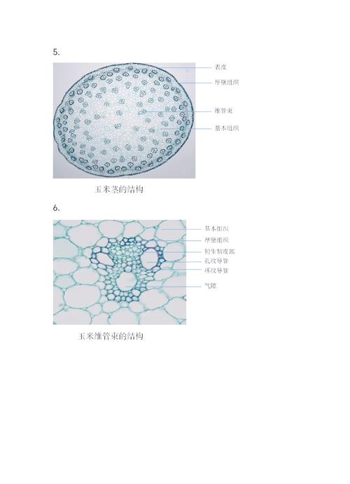 《湖南省细胞和基因产业促进条例（草案）原则通过，南华生物参与调研