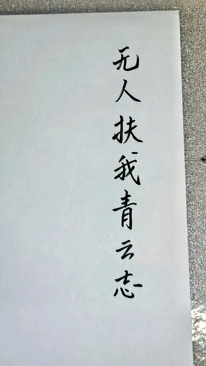 2025年4月8日 第2页