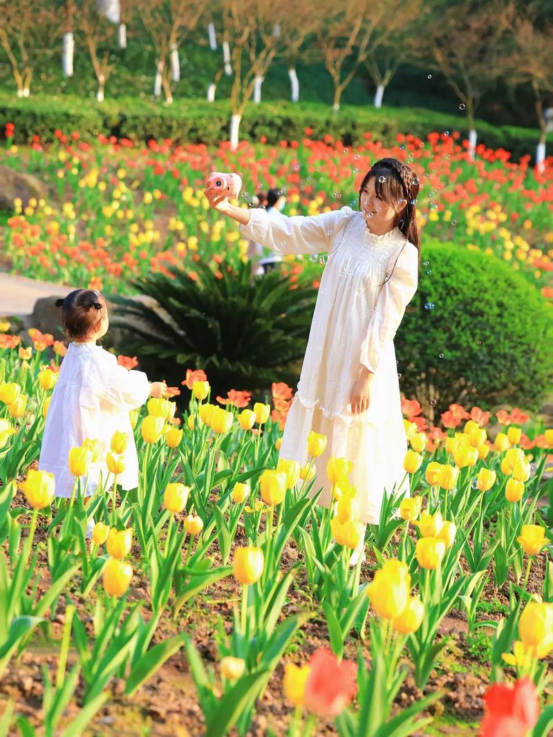 游客钻进花丛中拍照、孩子追逐打闹…郁金香花田赏花成伤花