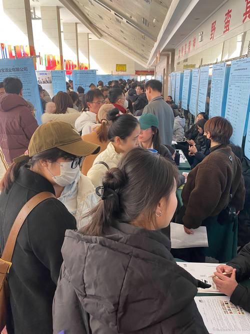 看了济南招聘会上的“学历贬值”现场，我重新捡起了儿子的兴趣班