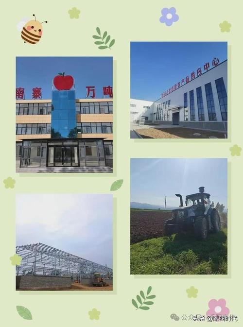 千阳县南寨镇：志愿服务暖人心 农旅融合促发展
