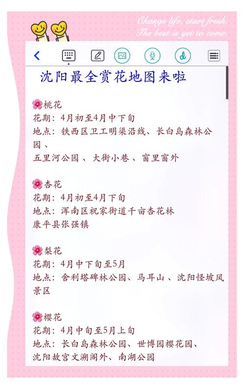 2025年春季赏花自驾游（5）第二天路书