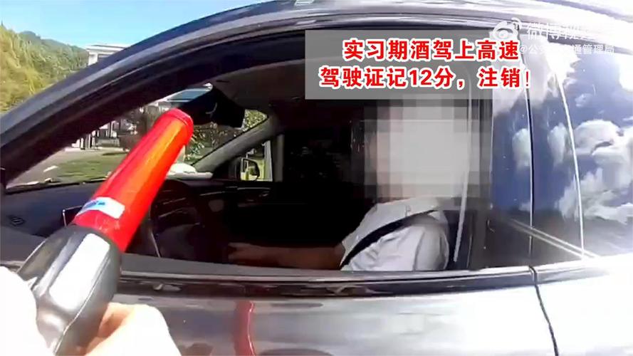 实习期酒驾？结局：驾照成废纸 千元买单！