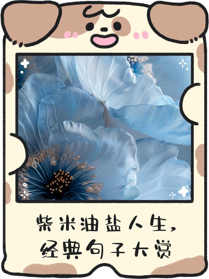 2025年4月17日 第5页