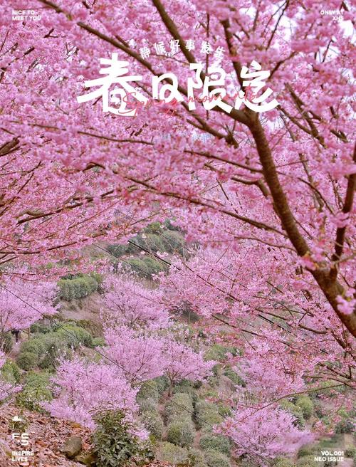 太湖猫山最美四月天，赏花踏青正当时！