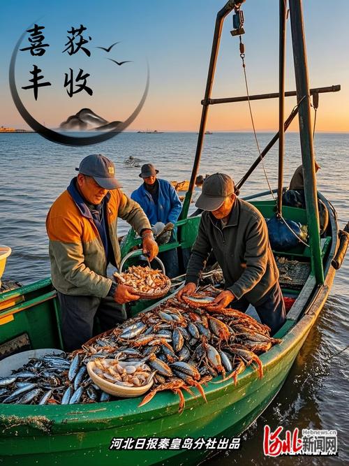 山东日照码头，鲜鱼活虾统统30块，第一次见这种场面！