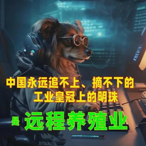 领先就领先美国，中国在天上干了件大事，为月面基地铺好“道路”