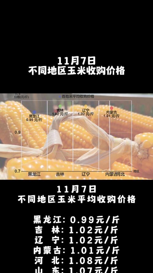 玉米价格：东北飙涨，山东低迷，未来何去何从？