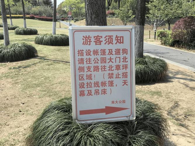 可怕！6岁男孩瞬间被长钉插入腰部，上海“顶流”地标明确：禁止！