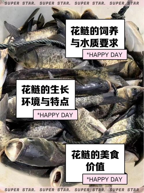 重庆江津乡村香水鱼，花鲢38元一斤，一锅鱼半锅油，巴适得板