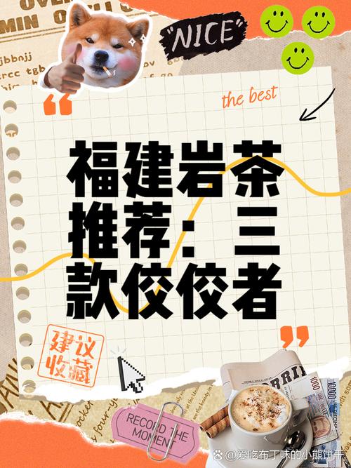 何以中国⑥丨在福建，呷茶”可不是一句客套话