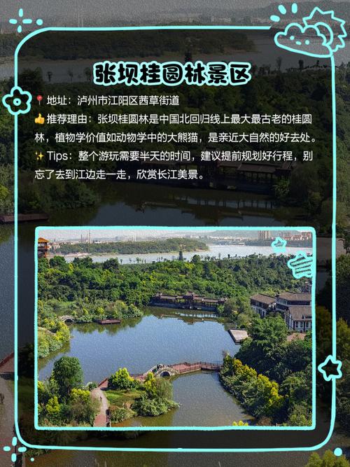 建设青年发展型城市 泸州这个AAA级旅游景区开园了！