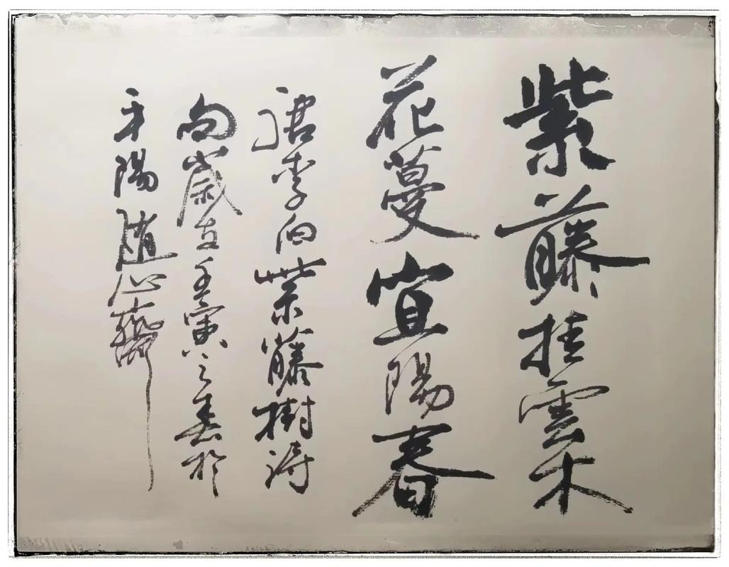紫藤天幕独具浪漫引客来