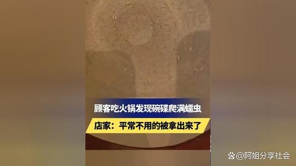 火锅店客人打料时，发现碗中有小虫子在爬