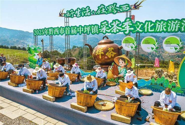 春茶飘香 流量加持！镇巴茶在茶博会上“C位出道”