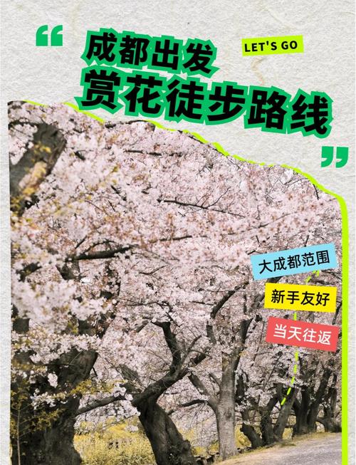 旅游 第19页