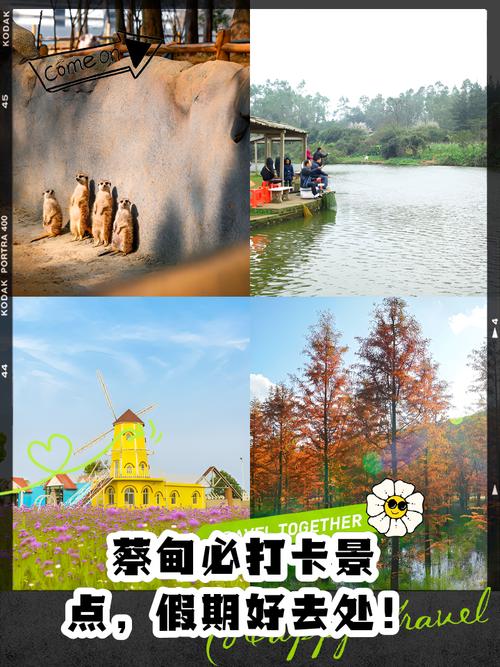 “五一”免门票 武汉蔡甸好玩打卡地 1