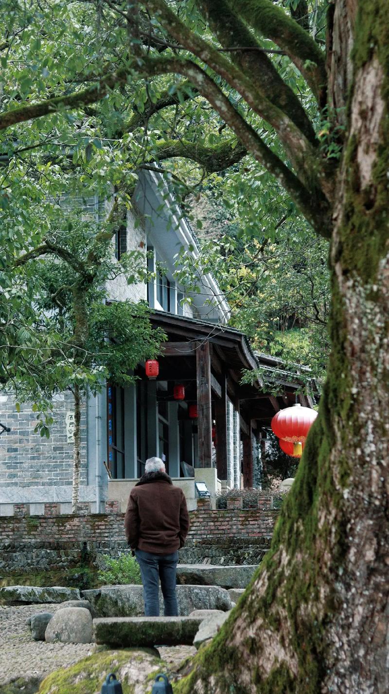 建阳这个宝藏古村，开放试运营！