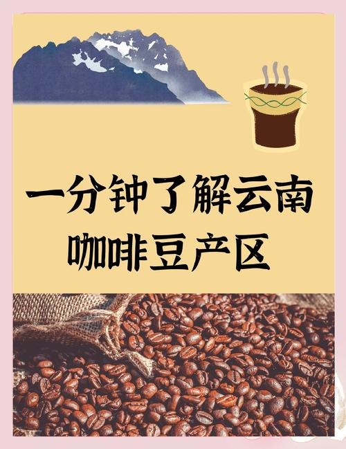 千帆争流 云南咖啡定义“中国味”
