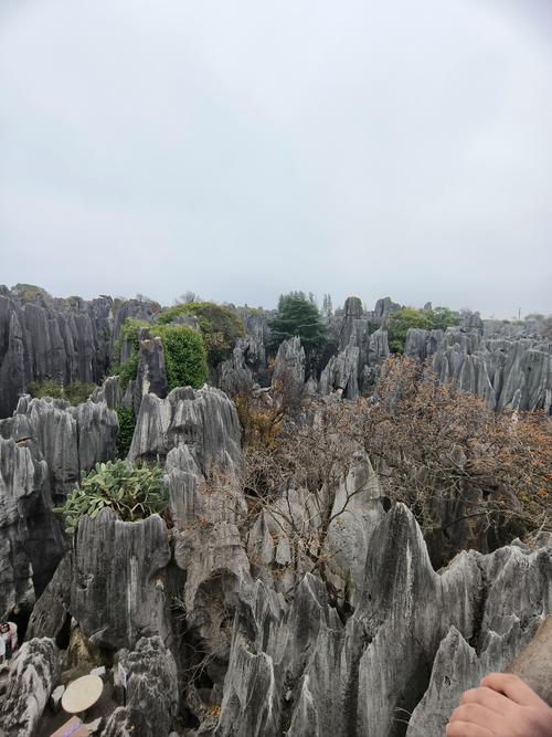 第19集昆明石林彝族自治县、石林世界自然遗产、2亿年地质奇观#