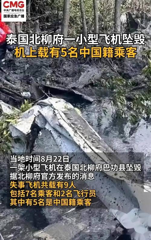 一架警用小型飞机在泰国坠毁致6人遇难