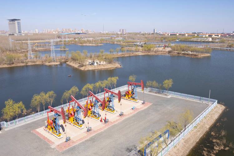 图片新闻丨大庆油田碳中和生态园5月份即将开园