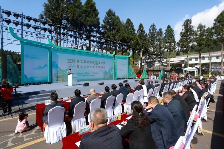 2025“名优茶出省 大宗茶出海”产销对接暨咸丰白茶文化交流活动举行