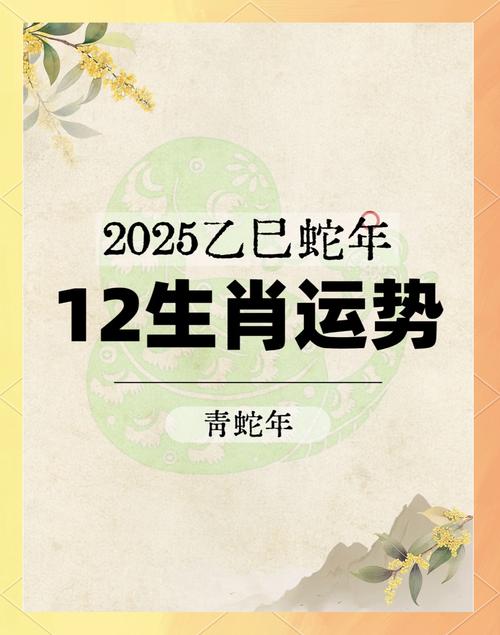 2025今晚开准确的生肖-全面释义、专家解释与落实与警惕虚假宣传