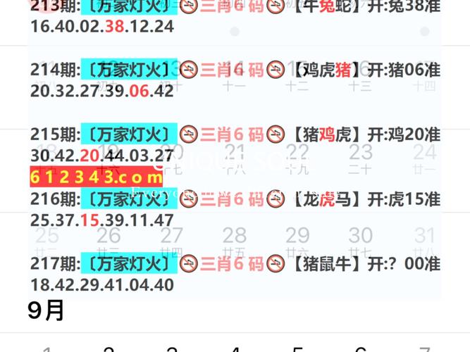 澳门最准一肖一码一码配套成龙一汽车之家-精选释义、解释与落实与警惕虚假宣传