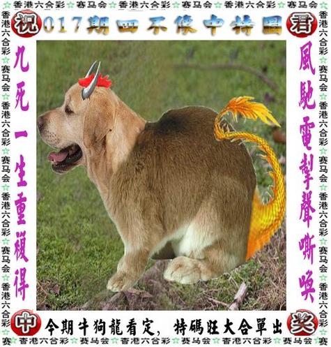 王中王免费资料大全料大全一一l-精选释义、解释与落实与警惕虚假宣传