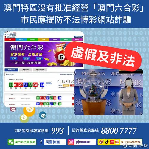 2024澳门资料免费大全-全面释义、解释与落实与警惕虚假宣传