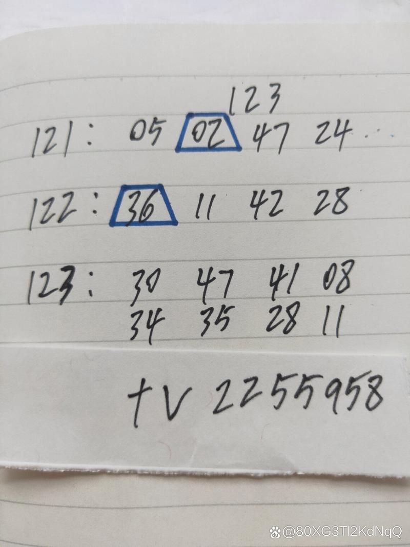 7777788888管家婆四肖八码,精选释义、解释与落实与警惕虚假宣传