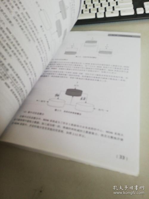管家婆正版管家,全面释义、专家解释与落实与警惕虚假宣传