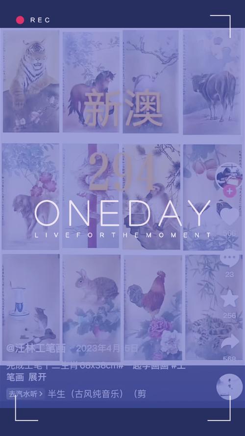 新澳今年晚上9:30开,2025全面解析实用技巧分享