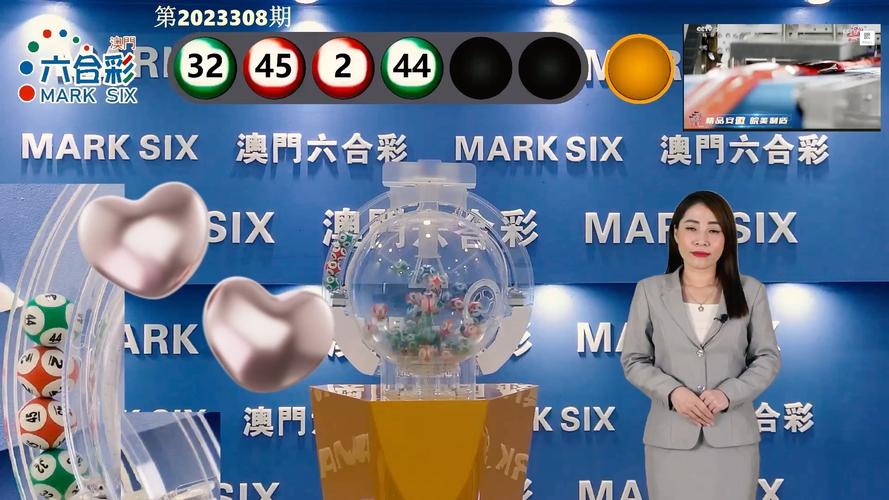2025澳门今晚开奖记录查询,2025全面解析实用技巧分享