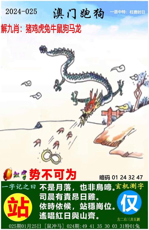 澳门资料大全免费正版资料澳门澳与新澳门天天彩免费全年大全全面释义、解释与落实与警惕虚假宣传