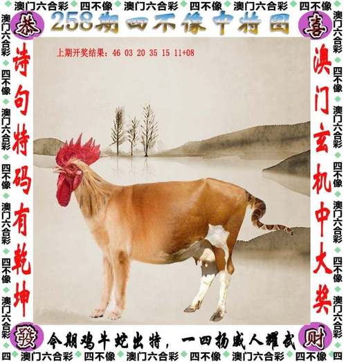 2004新澳门天天开好彩大全一,2025全面解析实用技巧分享